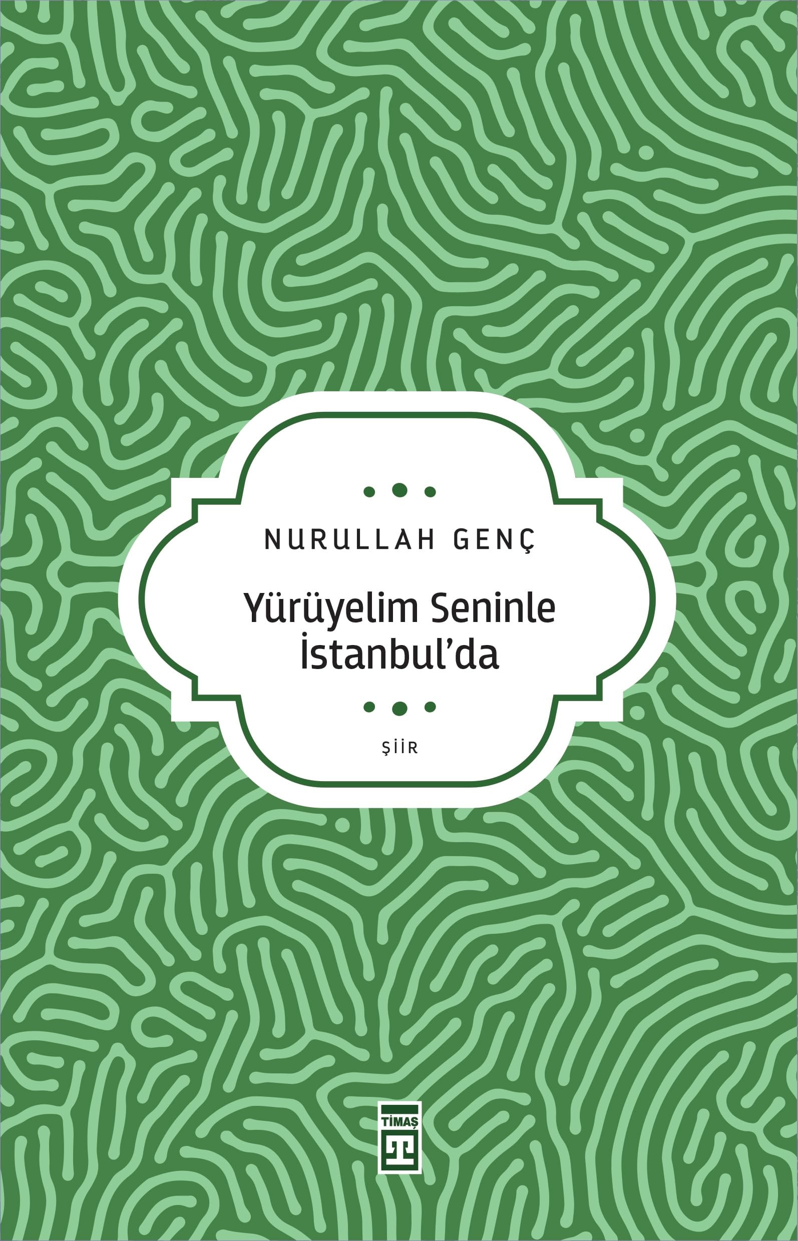 Yuruyelim Seninle Istanbul'da
